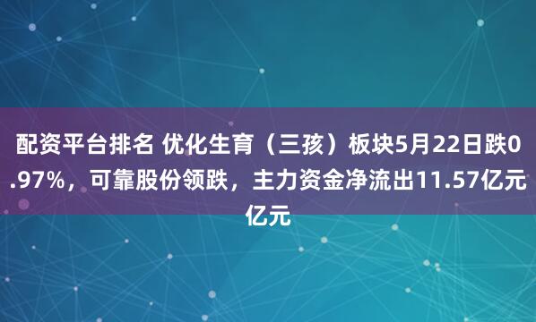 配资平台排名 优化生育（三孩）板块5月22日跌0.97%，可靠股份领跌，主力资金净流出11.57亿元