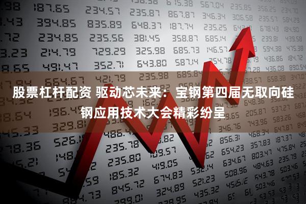 股票杠杆配资 驱动芯未来：宝钢第四届无取向硅钢应用技术大会精彩纷呈