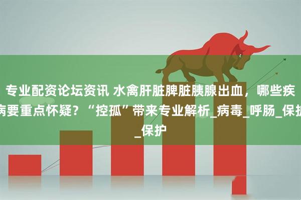 专业配资论坛资讯 水禽肝脏脾脏胰腺出血，哪些疾病要重点怀疑？“控孤”带来专业解析_病毒_呼肠_保护